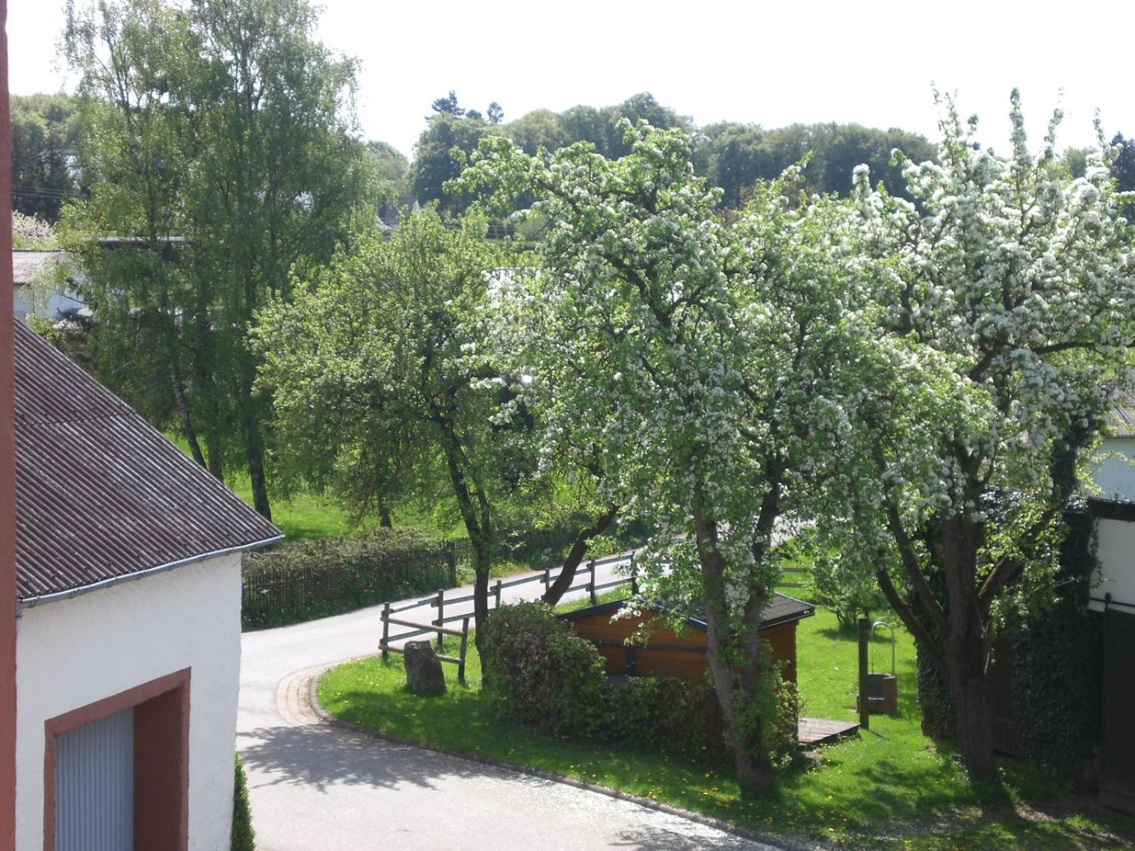 Ferienhof An Der Lay Kerpen  Exterior photo